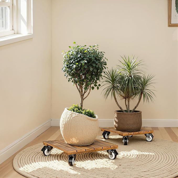 2-Pack 12 Inch Acacia Wood Rolling Square Plant Caddy for Plant Pots, Heavy Duty Plant Stand with 360° Lockable Wheels, 264 lbs Capacity Caddy for Indoor and Outdoor Use, Natural Wood