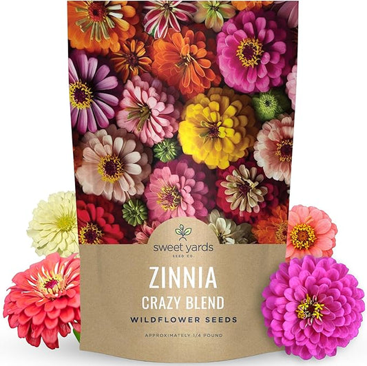 Zinnia Crazy Blend - Bulk 1/4 Pound Pouch - 15,000 Flower Seeds for Planting - Zinnia elegans
