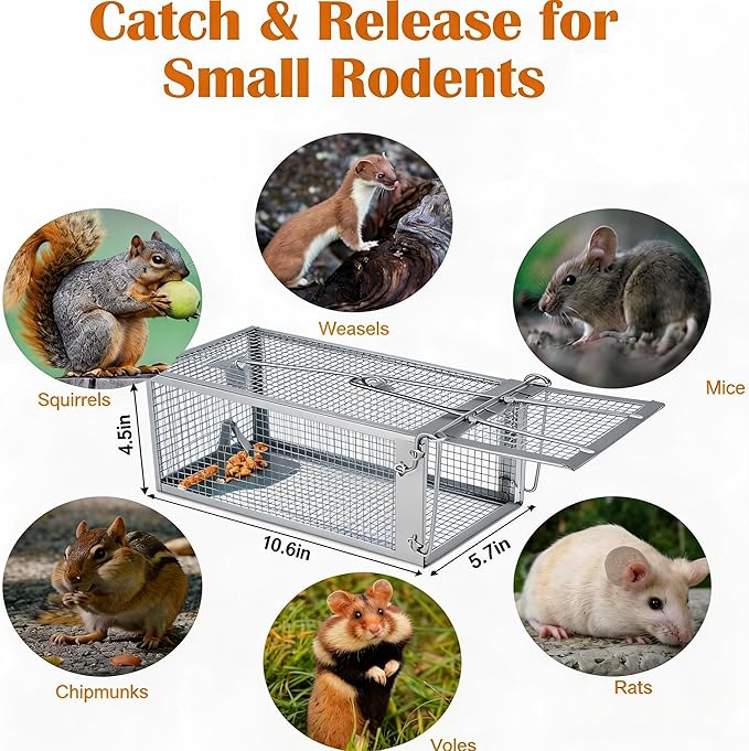 Humane Rat Trap, Chipmunk Rodent Trap that Work for Indoor and Outdoor Small Animal - Mouse Voles Hamsters Live Cage Catch and Release 1 Pack