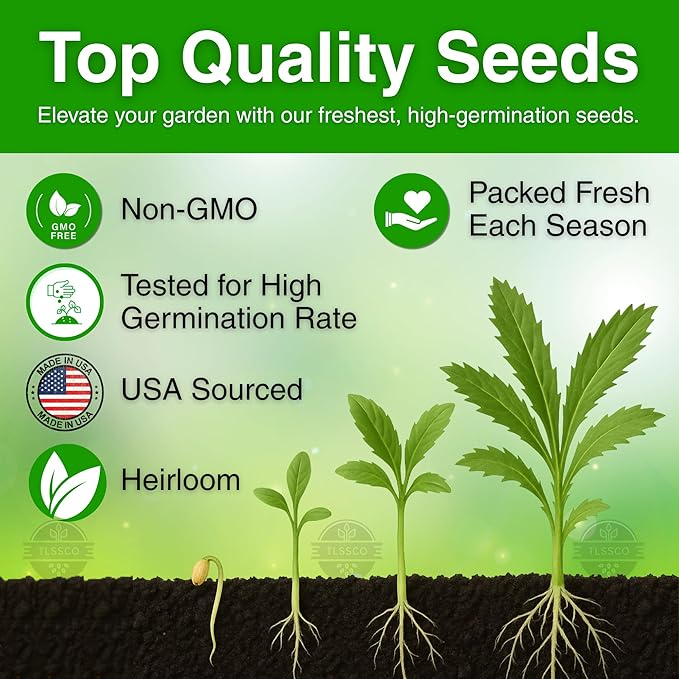 3049+ Culantro Seeds - Heirloom Herb Seeds for Planting, Slow-Bolting, Flavorful Cilantro Alternative, Great for Outdoor Herb Gardens (Eryngium foetidum)