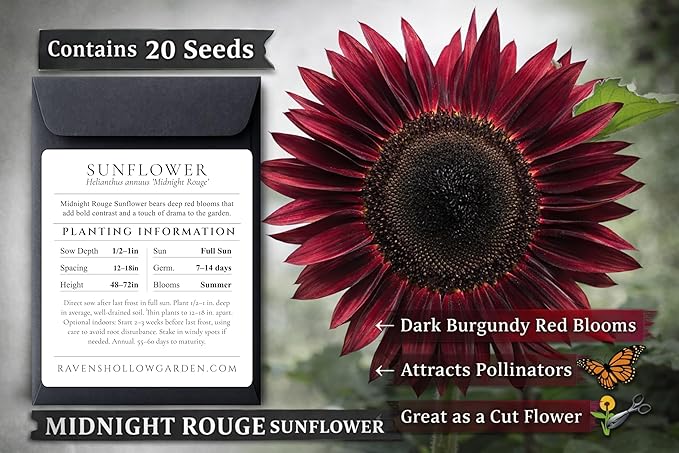 Gothic Garden Seed Collection, 6 Open-Pollinated Flower & Foliage Varieties