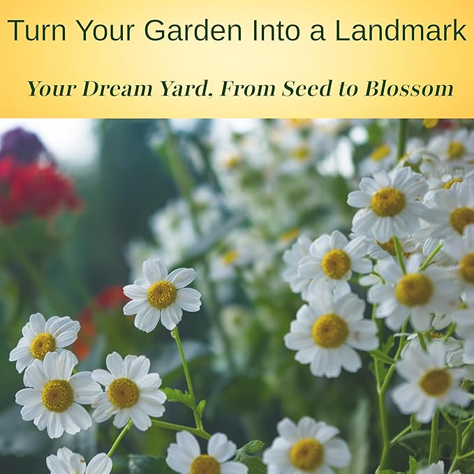 TKE Farms & Gardens - Feverfew Seeds for Planting, 3000+ Heirloom Non-GMO Medicinal Herb Seeds, Grow Indoors or Outdoors, Easy to Follow Instructions Included, Chrysanthemum parthenium
