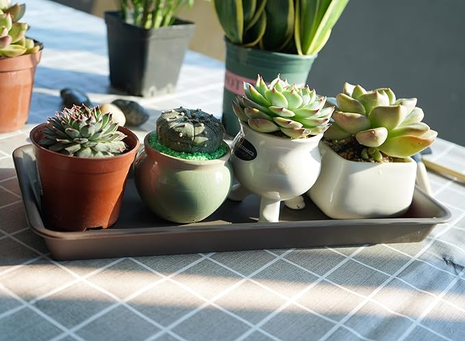VUWEZ 2 Pack of Plastic Plant Tray Saucer Rectangular 14 inch, Plant Trays Saucers for Indoors Outdoor, Plant Water Drip Tray for Flower Pot Planter, Windowsill Plant Tray (6.8 X 14.5'', Brown)