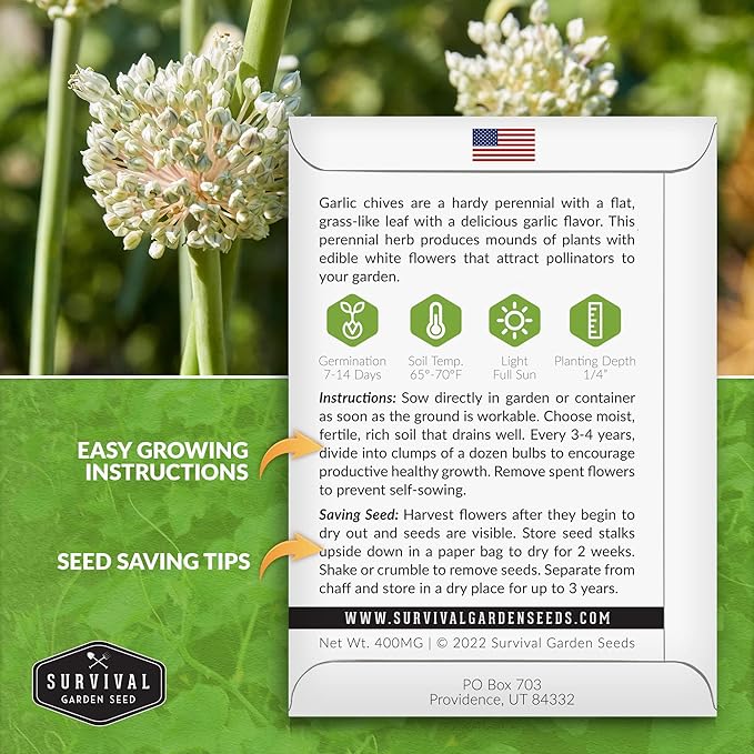 Survival Garden Seeds 1 Pack Garlic Chives Seed for Planting - Packet with Instructions to Grow Delicious Perennial Herbs in Your Home Vegetable Garden - Non-GMO Heirloom