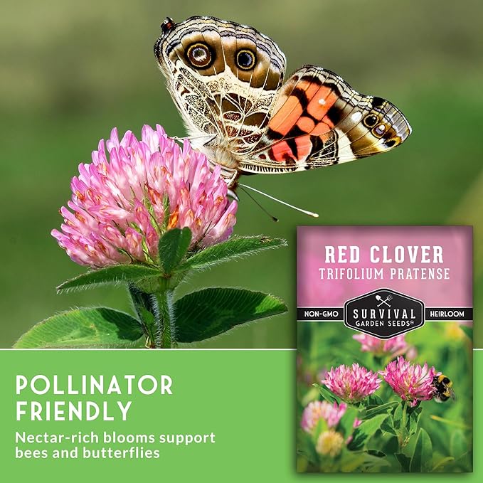 Red Clover Seeds for Planting – Nitrogen-Fixing Cover Crop & Ground Cover for Soil Building and Pollinators – Heirloom Non-GMO Medicinal Herb – Survival Garden Seeds (2 Packs)