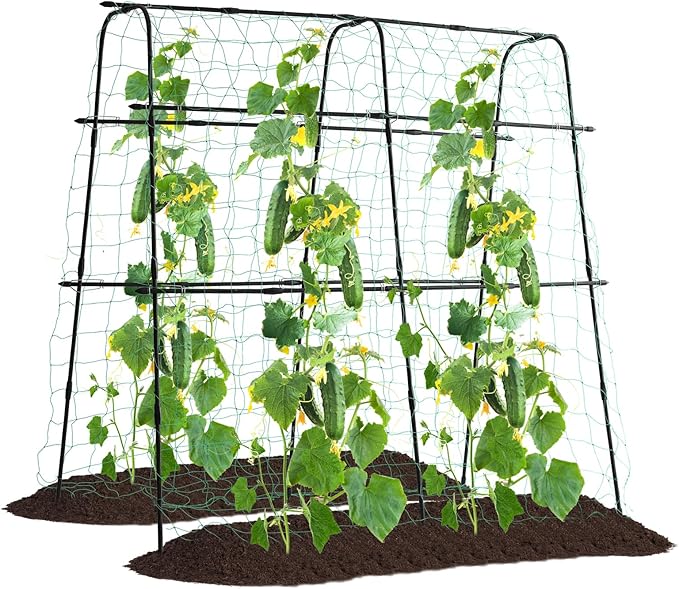 FOLLOOK Cucumber Trellis for Raised Bed, 5x5ft Metal Garden Trellis Climbing Plants Outdoor Tomato Plant Support Grape Vegetables Squash Bean Pea Cucumber Trellis, with Netting, Black