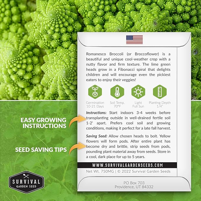 Romanesco Broccoli Seeds for Planting - Exotic Italian Heirloom Vegetable with Unique Spiral Heads - High Yield, Cool Weather Crop - Non-GMO, Open-Pollinated - Survival Garden Seeds (1 Pack)