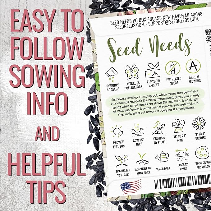 Seed Needs Cherry Rose Sunflower Seeds for Planting Bi-Color Sunflowers - Hybrid Flowers with Unique Blooms for an Outdoor Butterfly Flower Garden (1 Pack)