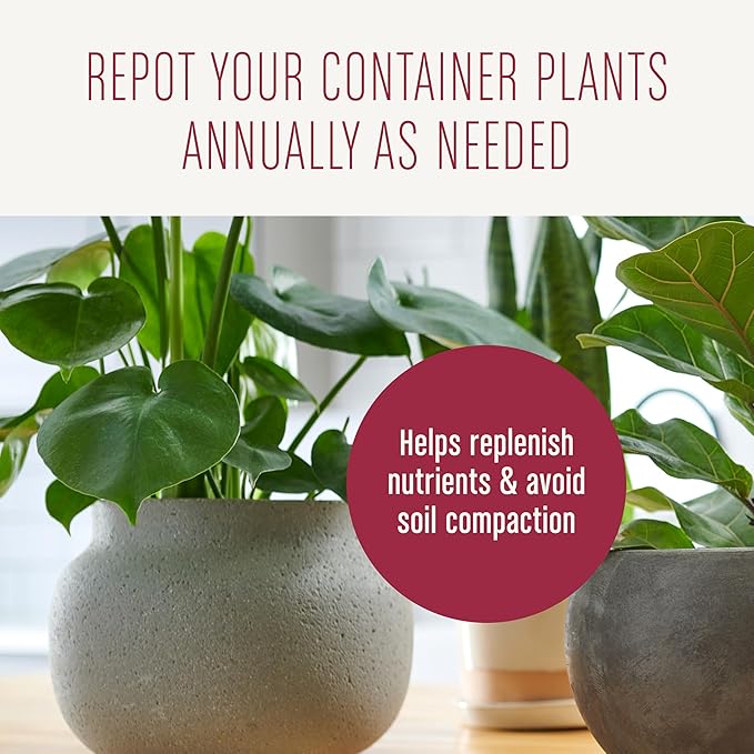 Miracle-Gro Houseplant Potting Mix - Fertilized Indoor Plant Soil for Containers, Designed to be Less Prone to Gnats, 4 qt. (3-Pack)
