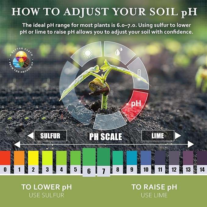 Earth Science Fast Acting Lime Granules—5lb— Instantly Raise pH of Soil & Reduce Nutrient Runoff for Improved Growth & Color - Long Lasting Lawn Care with Calcium