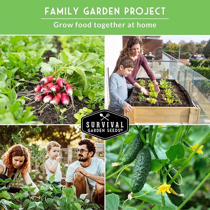 Survival Garden Seeds Kids' Easy Garden Collection - Cucumber, Radish, Beans, Peas, Lettuce, Basil Non-GMO Open Pollinated Seeds for Growing on the Homestead or in the Vegetable Garden