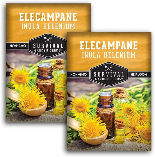 Elecampane Seeds for Planting - Traditional Medicinal Herb (Inula helenium) with Tall Yellow Blooms for Homestead & Healing Gardens - Heirloom Non-GMO - Survival Garden Seeds (2 Packs)