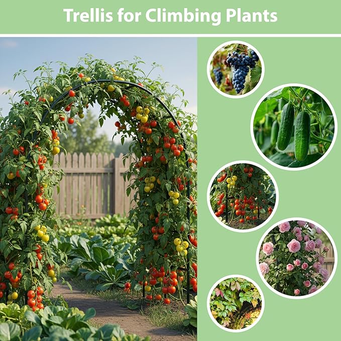 RUBFAC 7.8ft Garden Arch, Metal Trellis for Climbing Plants Outdoor | Dark Green Garden Arbors, Archway Frame for Flower Vines, Backyard Fall Decor, Halloween Christmas Decorations