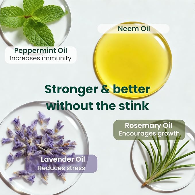 Neem Oil for Plants (Makes 480 fl oz) with Spray Bottle & Essential Oils | for Indoor Houseplants & Outdoor Gardens, Natural Leaf Shine