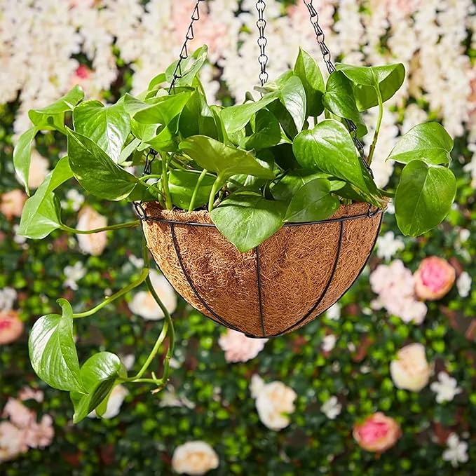 LCHUANG Hanging Baskets Planter for Plants - 2 Pack 10 Inch Metal Baskets with Coco Coir Liner, Hanging Flower Pots for Outside with Chain, Indoor Outdoor Garden Porch Decoration (10'' Pack of 2)