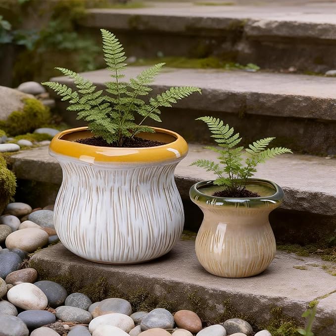 2 Pack Ceramic Plant Pots with Drainage Hole, Two-Tone Textured Planters for Indoor Outdoor Plants, Small Decorative Flower Pots for Succulents Herbs Houseplants