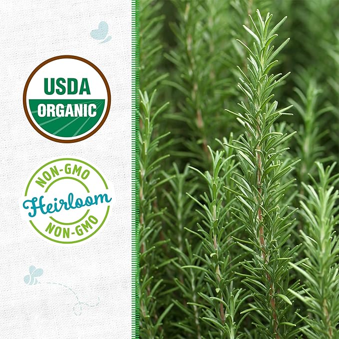 Back to The Roots Seed Packets - Rosemary