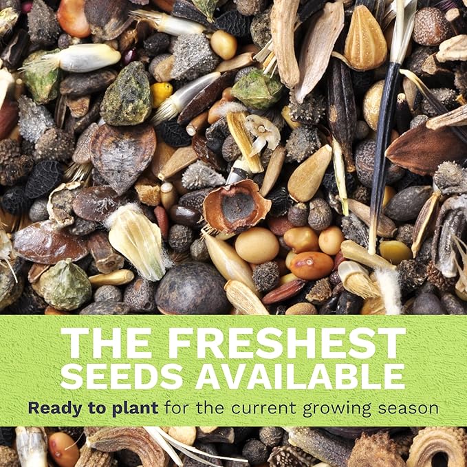 Rocky Mountain Regional Mix - Large 1 Ounce Packet - 25,000 Flower Seeds for Planting - Wildflower Mix