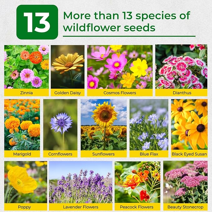 160000+ Wildflower Seeds Planting - 4oz Varieties Including Sunflower, Lavender, Zinnia & More, Attracts Bees & Butterflies, High Germination Rate, Easy to Grow for Garden, Balcony
