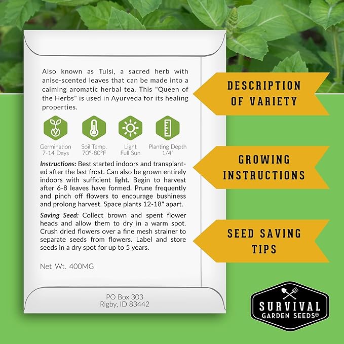 Holy Basil Seed for Planting - Indian Sacred Herb Tulsi Seeds to Grow in Your Home Vegetable Garden - Non-GMO Heirloom Variety - Survival Garden Seeds (3 Packs)