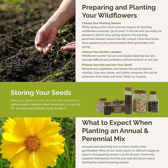 Eden Brothers South Carolina Wildflower Mixed Seeds for Planting, 1 lb, 480,000+ Seeds with WallFlower, Primrose | Attracts Pollinators, Plant in Spring or Fall, Zones