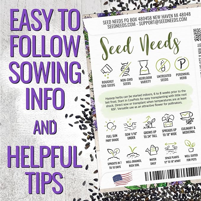 Seed Needs Hyssop Seeds for Planting Blue Hyssop Herbs - Non-GMO Heirloom & Untreated Hyssopus officinalis Seed to Plant an Indoor/Outdoor Medicinal Herb Garden (1 Pack)