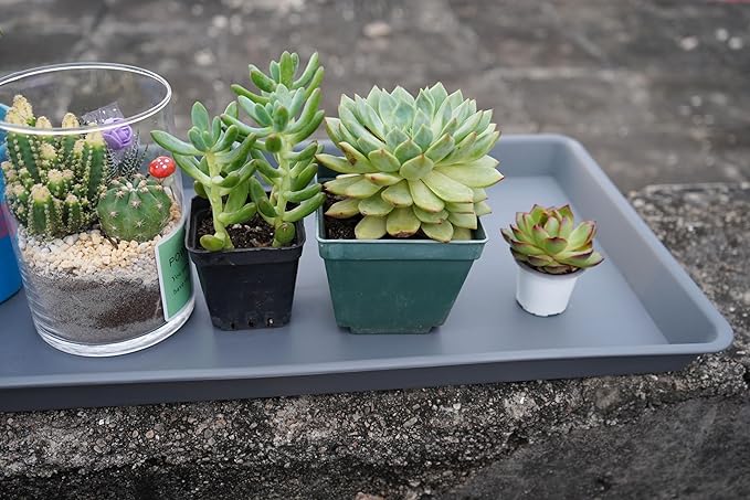 VUWEZ 2 Pack Plant Growing Nursery 1020 Trays, Plant Saucer Tray, Heavy Sturdy Seed Starting Trays, Plant Starter Trays for Indoors No Holes, Seed Starter Growing Tray (22"x11.2", Gray)