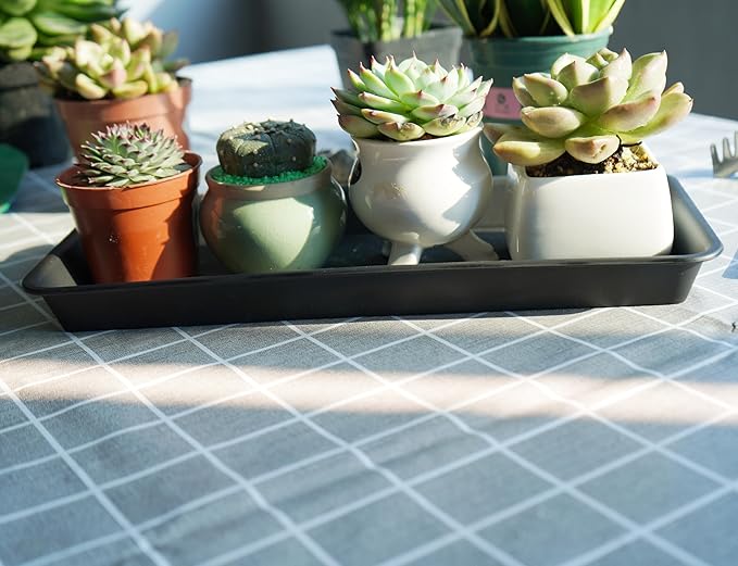 VUWEZ 6 Pack Plastic Plant Trays - Rectangular 14 inch, Indoor/Outdoor Plant Saucers with Drip Protection, Perfect for Windowsill or Planters (6.8 x 14.5'', Black)
