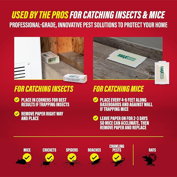 Catchmaster Max-Catch Glue Traps 72pk, Sticky Mouse Traps Indoor for Home | Bulk glue boards for mice & insects, pesticide free sticky traps for spiders, crickets & roaches, home & garage pest control