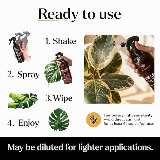 Neem Oil Spray for Plants – Big Leaf Energy, with Essential Oils – Ready-to-Use Plant Spray for Outdoor & Indoor Plants, Made in USA (16 fl oz)