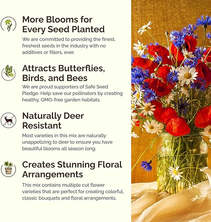Eden Brothers Maryland Wildflower Mixed Seeds for Planting, 1 oz, 30,000+ Seeds with Shasta Daisy, Cornflower | Attracts Pollinators, Plant in Spring or Fall, Zones