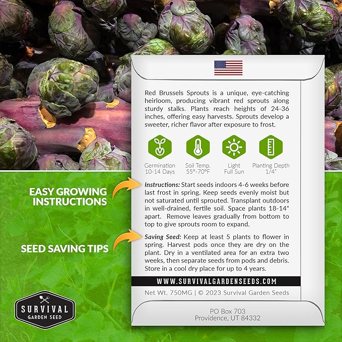 Red Brussels Sprout Seeds | Heirloom Non-GMO Purple Brussel Sprouts, Cold Hardy Garden Vegetable, Unique Exotic Variety - Survival Garden Seeds (5 Packs)