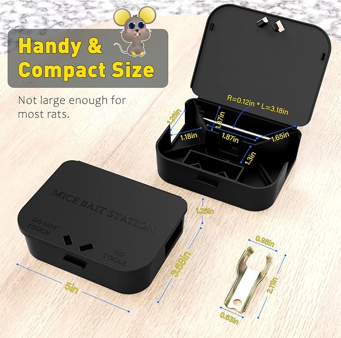 Small & Large Box