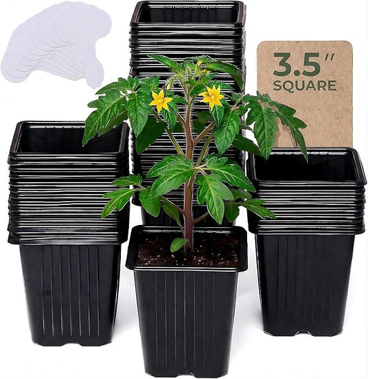 CARPATHEN 60Pack Square Nursery Pots - 1020 Tray Optimized - 3.5 Inch Seedling Plant Pot with Drainage Holes - Reusable Sturdy Seed Starter Pots for Flowers, Vegetables, Greens
