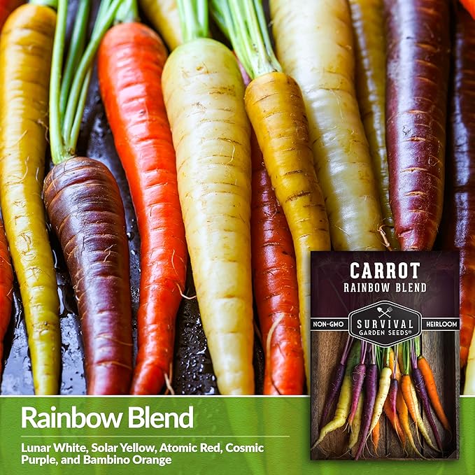 Rainbow Carrot Seeds for Planting – Colorful Heirloom Blend Including Purple, Yellow & Orange Carrots – High-Yield Non-GMO, Open-Pollinated Garden Vegetable – Survival Garden Seeds (3 Packs)