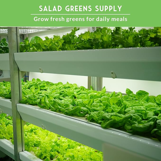 Hydroponics Vegetable Seed Collection for Planting - Watercress, Spinach, Siberian Kale, Swiss Chard, Buttercrunch, Oakleaf Lettuce Varieties to Grow Indoors Non-GMO Heirloom Survival Garden Seeds
