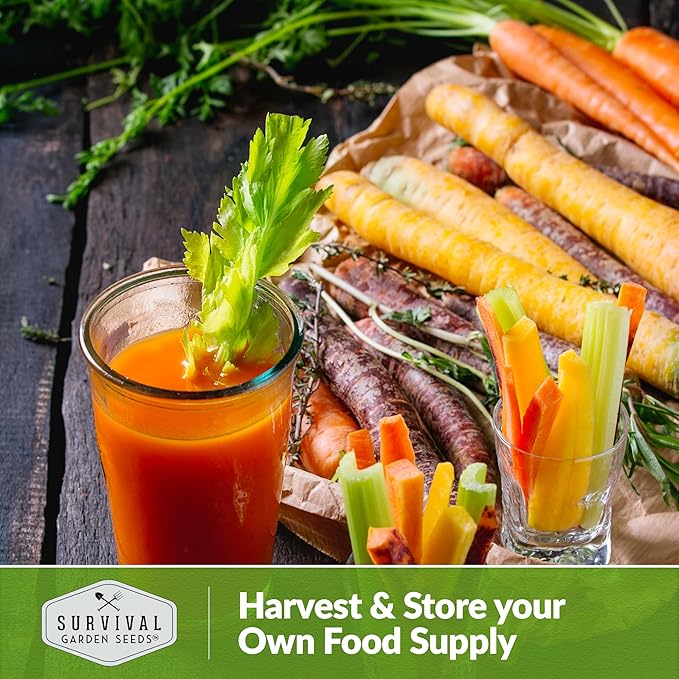 Rainbow Carrot Seeds for Planting – Colorful Heirloom Blend Including Purple, Yellow & Orange Carrots – High-Yield Non-GMO, Open-Pollinated Garden Vegetable – Survival Garden Seeds (2 Packs)