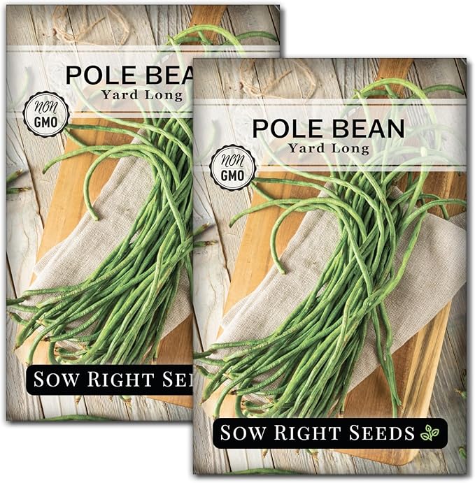 Sow Right Seeds - Asparagus Yard Long Pole Bean Seeds for Planting - Non-GMO Heirloom Packet with Instructions to Plant & Grow an Outdoor Home Vegetable Garden - Productive Green Snake Beans (2)