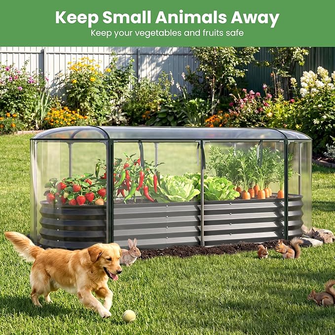 Giantex Raised Garden Bed w/Greenhouse Cover, Outdoor Oval Metal Steel Planter Box w/Roll-up Window, Clear PVC Mini Greenhouse for Vegetables Flowers Herbs Outdoor Patio Gardening, 6x2x1 FT (Black)