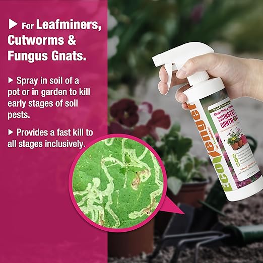 EcoVenger Garden Protection Kit – 16 oz Insect Control Spray & Multi-Purpose V-Granules 1.95 LB Jug, Natural, Plant-Based Pest Control for Indoor & Outdoor Use