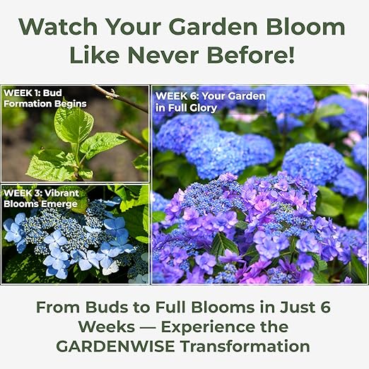 GARDENWISE Slow Release Hydrangea Fertilizer with Iron & Sulfur – Indoor & Outdoor Soil Acidifier for Miracle Growth (2 qt)