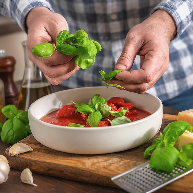Seed Needs Basil Seeds for Planting Italian Large Leaf Herbs - Non-GMO Heirloom & Untreated - Grow an Indoor or Outdoor Home Grown Herb Garden (5 Packs)