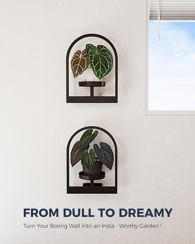 Bamworld Wall Plant Holder Plant Stand Indoor Wall Planters Round | Wall Planters for Indoor Plants Window Plant Shelves Plant Holder Wall Decor, Room Decor 2 Pack (Patent Design)