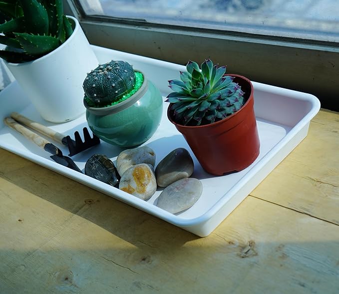 VUWEZ 6 Pack Plastic Plant Tray Saucer, Rectangular, Indoors Outdoor, Water Drip Tray for Flower Pot, Windowsill (6.5 x 13 Inch, Cream White)