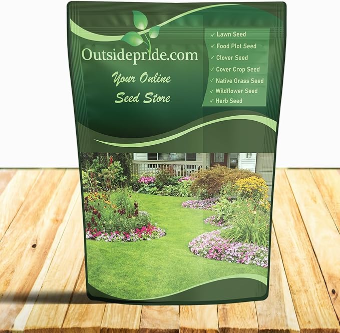 Outsidepride Purple Echinacea Coneflower Seeds - 1 lb Perennial, Deer-Proof & Drought Tolerant Flower Seeds with Daisy-Like Blooms for Pollinator-Friendly Gardens, Borders, & Meadows