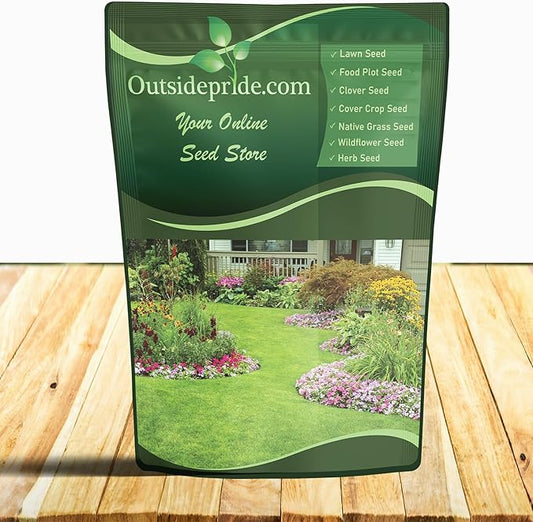 Outsidepride Purple Echinacea Coneflower Seeds - 1 lb Perennial, Deer-Proof & Drought Tolerant Flower Seeds with Daisy-Like Blooms for Pollinator-Friendly Gardens, Borders, & Meadows