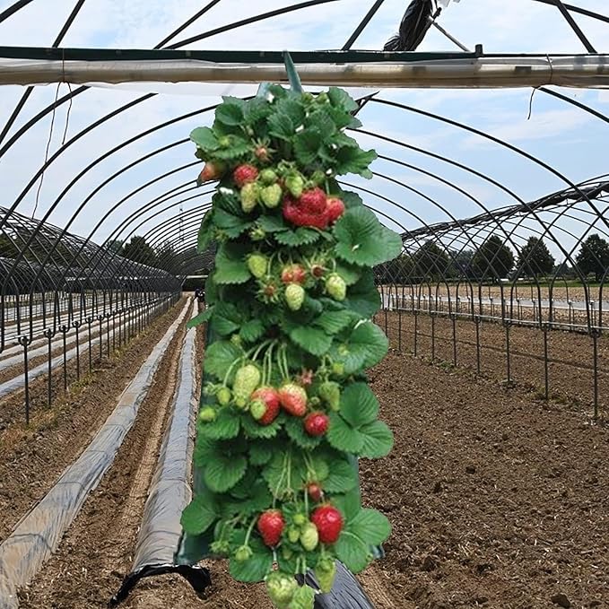 2024 Hanging Strawberry Planter - Upside-Down Patio Garden Tomato Grow Bags With Handle for Outdoor (3)