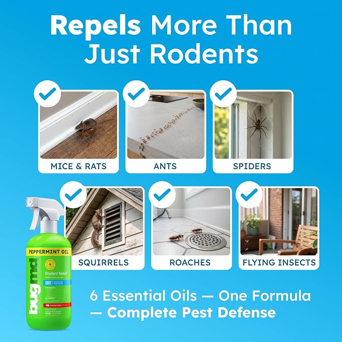 BugMD Peppermint Spray for Rodents - Natural Mouse and Mice Repellent | With Cinnamon, Clove and Rosemary Oils, Safe for Indoor and Outdoor Use | 16oz
