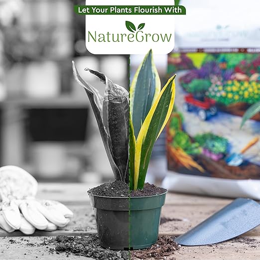 Earth Worm Castings 20LB - Organic Fertilizer Includes Humic Acid - Pure Worm Castings for Gardening