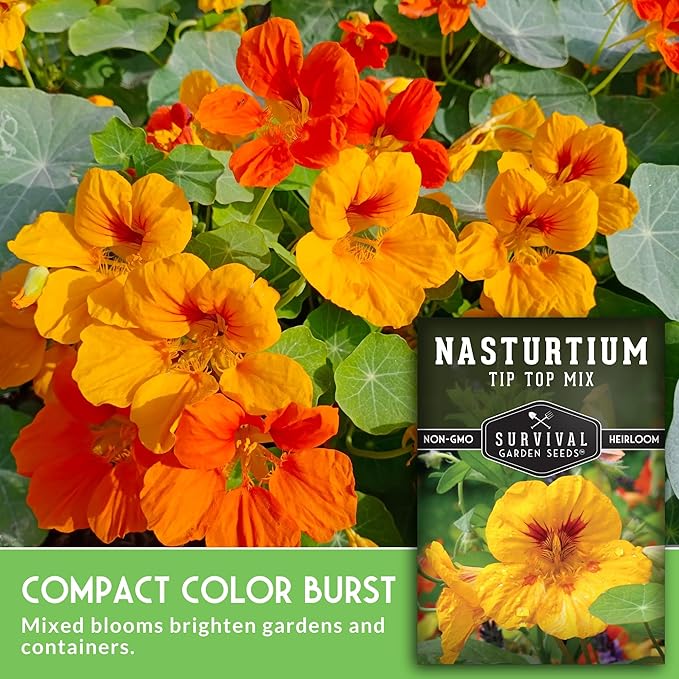 Nasturtium Seeds for Planting Outdoors – Tip Top Mix Heirloom Variety of Edible Flowers & Companion Plants, Non-GMO Seeds for Home Gardens - Survival Garden Seeds (2 Packs)